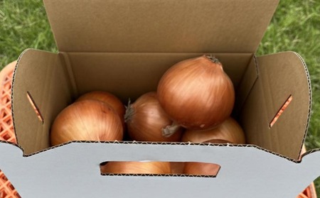 【淡路島玉ねぎ・サイズ混合】三世代で紡ぐ味淡路島の玉ねぎ 3Kg◆配送6月上旬～8月中旬