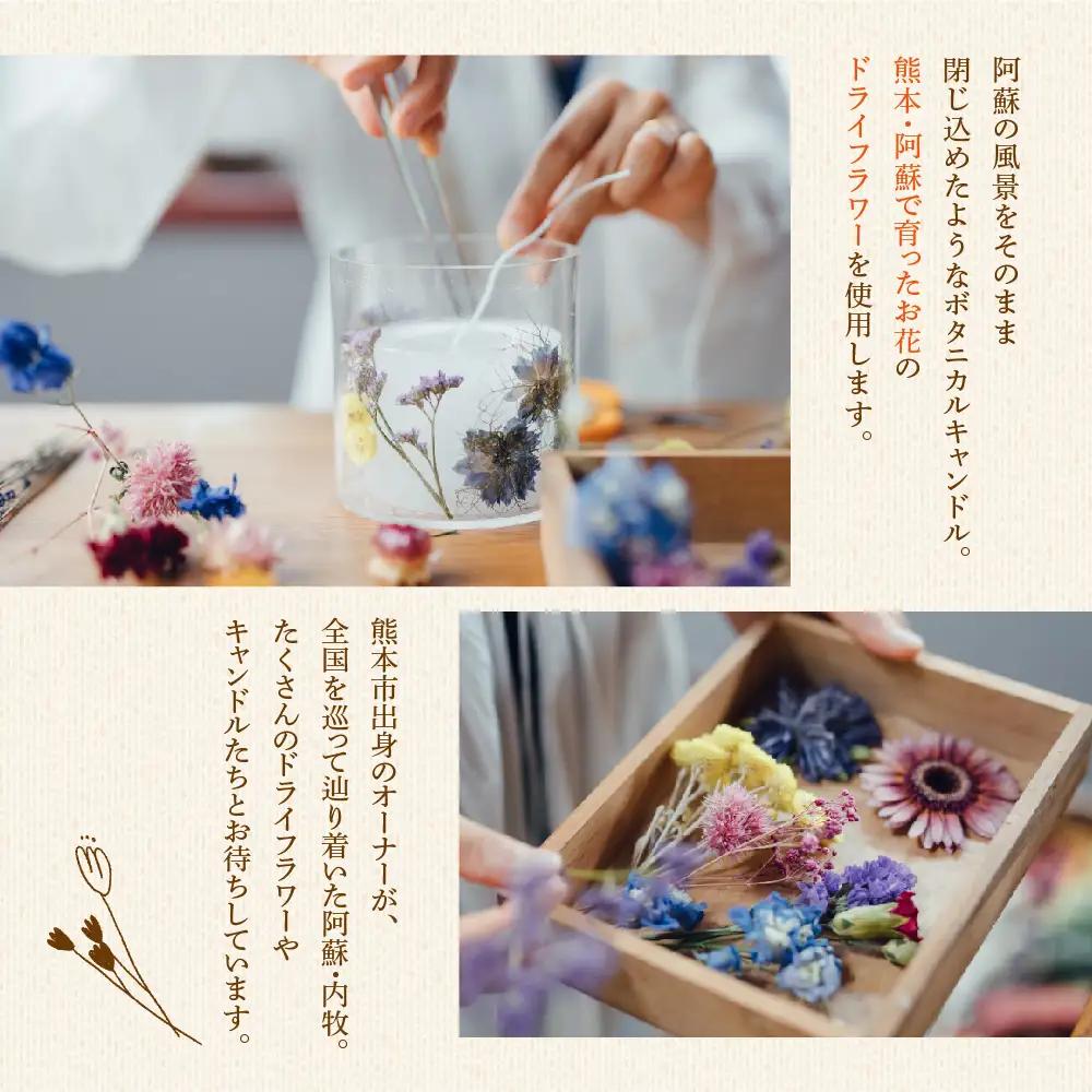 【熊本県阿蘇市】ボタニカルキャンドル制作体験 （Lサイズ）1つ制作 熊本・阿蘇の草花を使ったお好きなドライフラワーをお選びいただき世界で一つだけのオリジナルキャンドル制作が出来る体験チケット ハンドメ