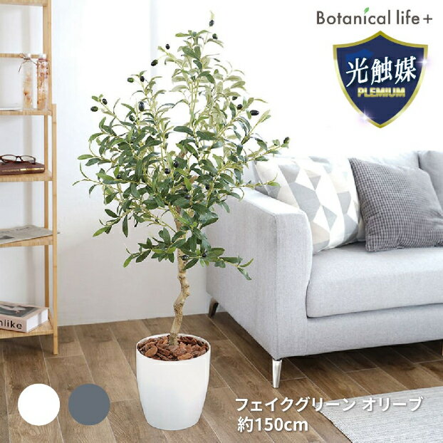 【ふるさと納税】フェイクグリーン オリーブ 150cm 光触媒加工 鉢付き インテリア 抗菌 消臭 愛知県 豊橋市 送料無料 58000円