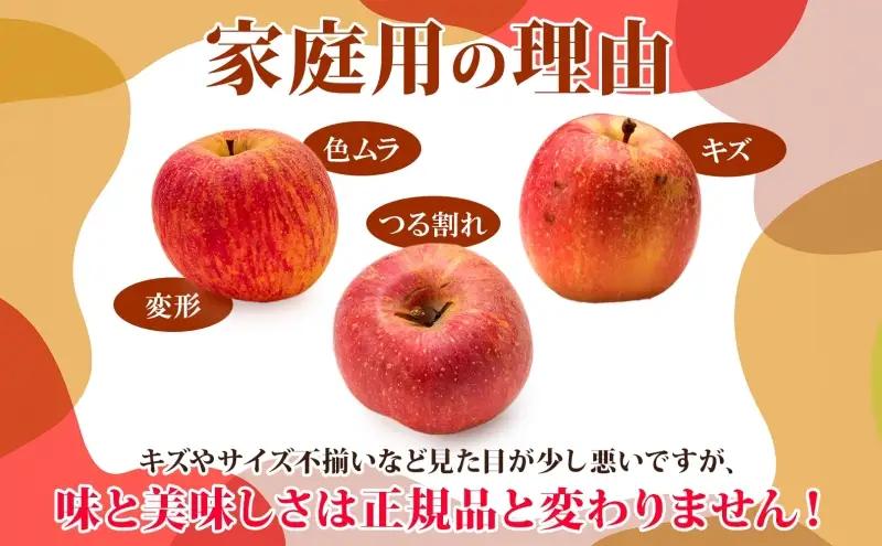 りんご 【3月発送】糖度13度～ 家庭用 サンふじ 王林 約10kg　リンゴ 林檎 青森りんご 糖度 13度 甘い 酸味 デザート フルーツ 果物 お取り寄せ 産地直送 旬 季節限定 弘果物流 青森県