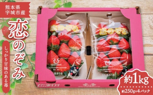 いちご 恋のぞみ (250g×4パック) 合計1kg 【2026年2月上旬～3月上旬発送予定】熊本県産  冷蔵 小分け いちご 熊本県産 苺 JA熊本うき