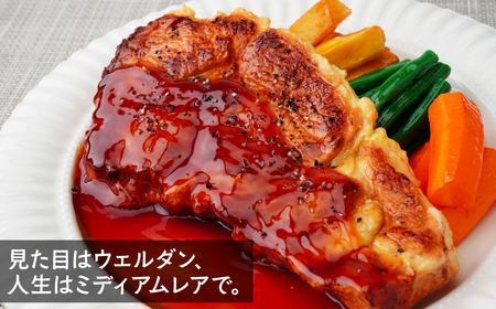 食品サンプル ビーフステーキC | 食品サンプル ビーフステーキ 畑中 埼玉県 所沢市