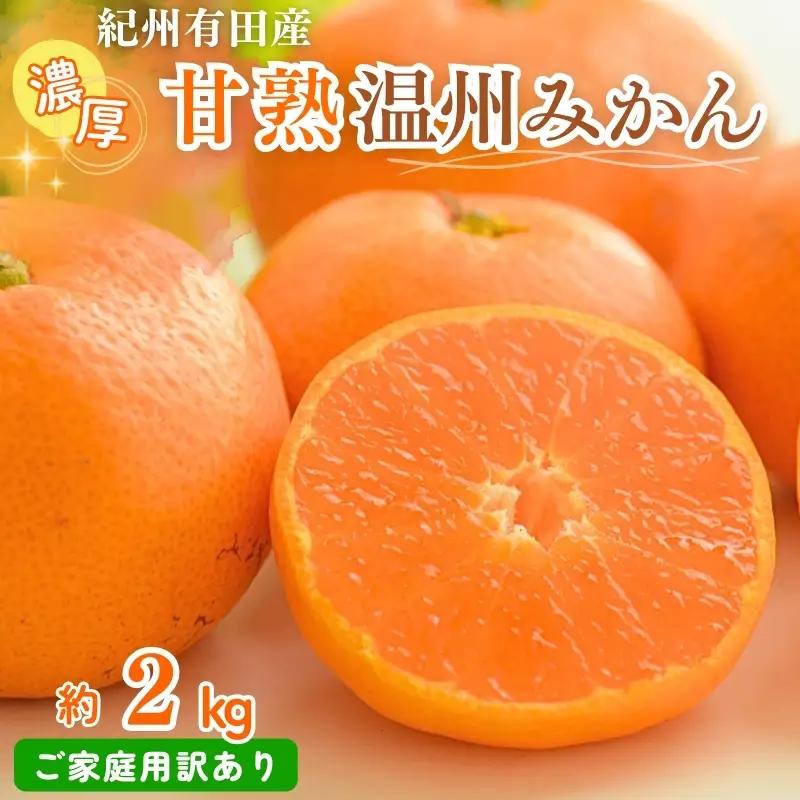 みかん 訳あり ご家庭用 紀州有田産 濃厚完熟 温州みかん 2kg  ※2026年11月下旬～2027年1月下旬頃に順次発送予定 【uot836】