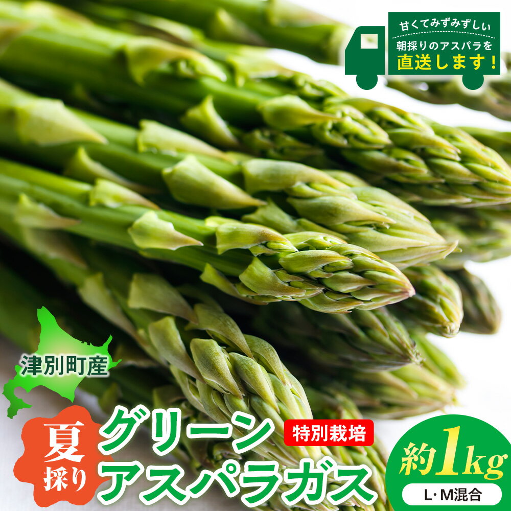【ふるさと納税】令和7年産 アスパラガス（夏採り）特別栽培 約1kg 細川農園 | グリーンアスパラ グリーンアスパラガス アスパラ 野菜 夏 朝採れ 極太 サラダ 天ぷら 炒め物 旬 特産 産地直送 北海道 津別町 送料無料