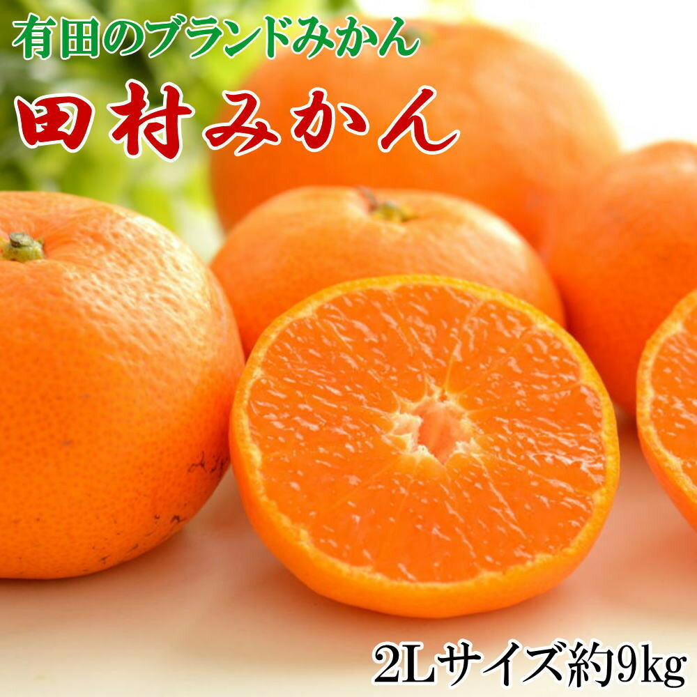 【ふるさと納税】［選べるサイズ］［先行予約］［ブランドみかん］田村みかん 大玉 約9kg（2L or 3Lサイズ）★2026年11月下旬頃より順次発送 | フルーツ 果物 くだもの 食品 人気 おすすめ 送料無料