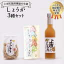 【ふるさと納税】しょうがセット (シロップ かりんとう お茶パック) [ 里山の駅 つるぎの味蔵 富山県 上市町 32280002 ] ショウガ 生姜 しょうが づくし ぽかぽか ジンジャー