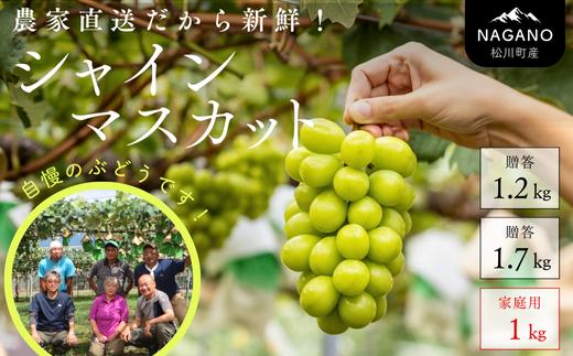 
            【先行予約】ぶどう 農家直送 シャインマスカット 贈答用 or 家庭用 ／2026年9月下旬頃～配送予定 ｜長野県 南信州 松川町 葡萄 ぶどう ブドウ 産地直送 農家直送 シャインマスカット マスカット 種なし 皮ごと 贈答 果物 フルーツ KG01 KG02 KG17
          