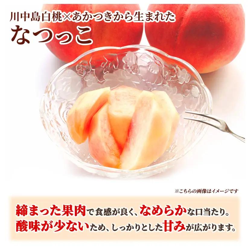 桃 先行予約 浅間水蜜桃 なつっこ 約5kg 秀品 13～22玉 贈答品 フルーツ 果物 白桃 甘い 冷蔵