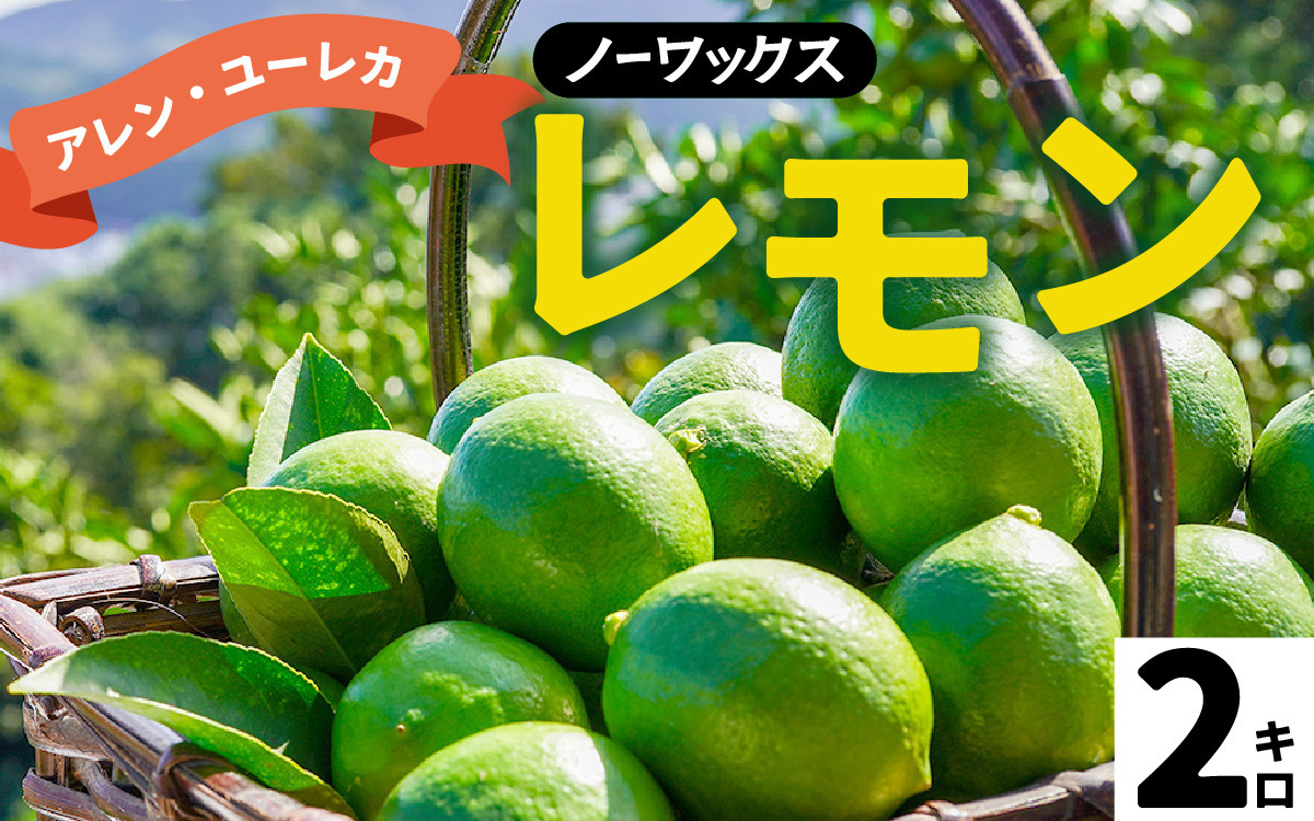 
            【期間限定】 淡路島産 アレン・ユーレカレモン 2kg 国産レモン 淡路島 瀬戸内レモン 檸檬 lemon 柑橘 レモネード  レモンサワー
          