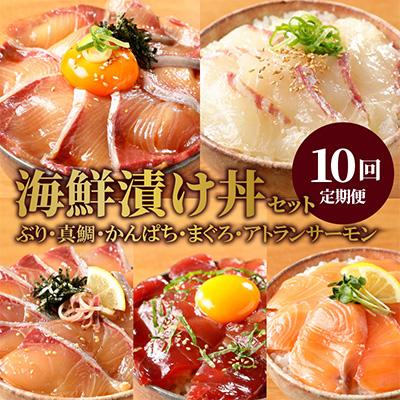 ふるさと納税 延岡市 【毎月定期便】【ふるさと納税】日向灘 日向灘 海鮮漬け丼 バラエティ全10回