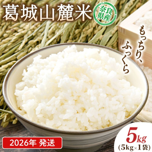 先行予約 葛城山麓米 ヒノヒカリ（白米）計5kg [ 5kg×1袋 ] 令和8年産 【2026年10月下旬～順次発送】／ スマイル葛城農業 精米 ごはん お米 米 おいしい ふっくら 農家直送 奈良県 葛城市【smlk012A】