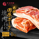 【ふるさと納税】国産 豚肉 ブロック 肩ロース・バラ 食べ比べ 1kg×2 計2kg 田原ポーク 塊肉 チャーシュー 贈り物 ギフト お取り寄せ お取り寄せグルメ 食品 送料無料 産地直送 冷凍 Gファーム