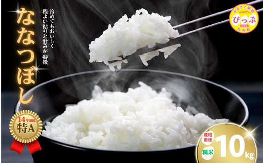 
            2025年産 ななつぼし 精米 10kg【牧野農産】米 お米 北海道米 特Aランク 国産 白米 コメ 北海道 比布町 ぴっぷ 1014-005
          