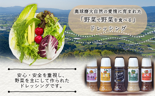 野菜で野菜を食べる ドレッシング 5本 Jセット ＜ニンジン/ブロッコリー/生姜2本/黒胡椒＞ サラダ や 肉料理 にも 詰め合わせ 熊本県 多良木町 調味料 024-0680