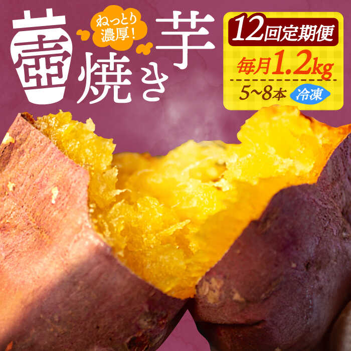 【ふるさと納税】【全12回定期便】さつまいも 芋 『てくてく』の壺焼き芋 1.2kg さつまいも 人気 お菓子 スイーツ 美味しい 和菓子 ギフト プレゼント 江田島市/峰商事 合同会社[XAD050] さつまいも 芋 サツマイモ やきいも スイーツ お菓子