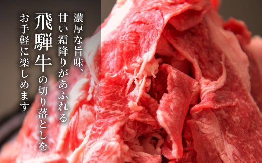 飛騨牛 切り落とし 700g  牛肉 和牛 肉 お肉 切落し 不揃い にく 切り落し 東白川村 ブランド牛 国産 人気 おすすめ 薄切り きりおとし 岐阜 すき焼き お取り寄せ 冷凍 養老ミート