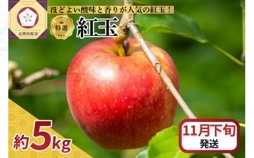 【2025年11月下旬発送】【特選】 りんご 5kg 紅玉 青森