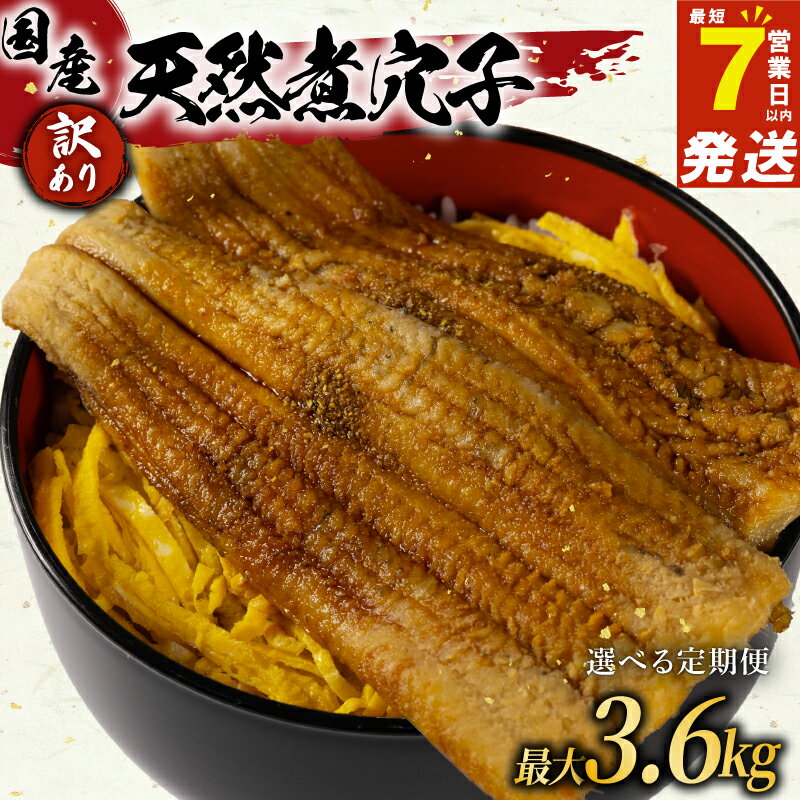 【ふるさと納税】 選べる 定期便 訳あり 煮穴子 300g 1-12ヶ月 国産 肉厚 冷凍 あなご 穴子 天然 不揃い 魚介 魚介類 鮮魚 海鮮 魚 お魚 醤油 タレ 煮込み 玄品 高級 長崎県 産 大阪府 松原市