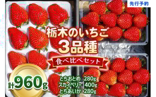【1月以降発送】いちごの贅沢！栃木の3品種食べ比べセット 960g 澳原いちご農園  | いちご 苺 イチゴ フルーツ 果物 産地直送 栃木県産