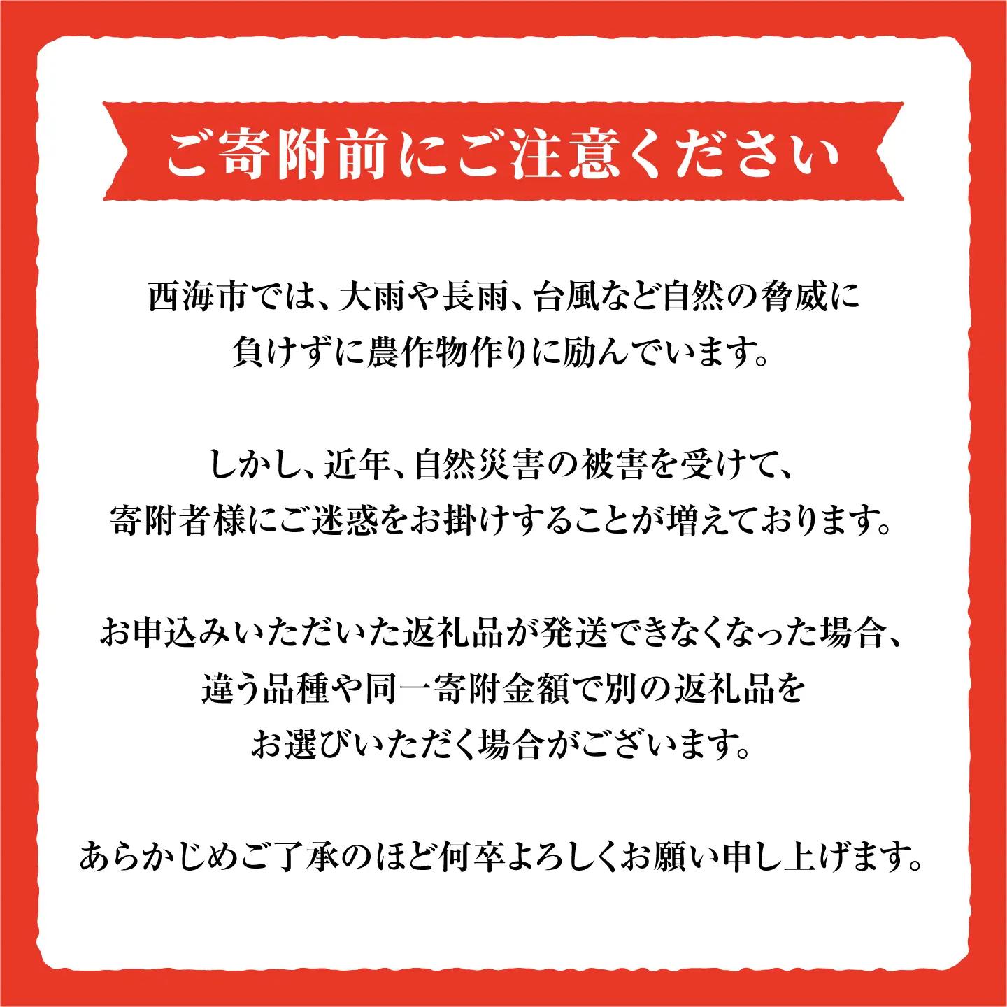先行予約 3回定期便 訳あり 大島トマト 1.8kg CCK008 トマト