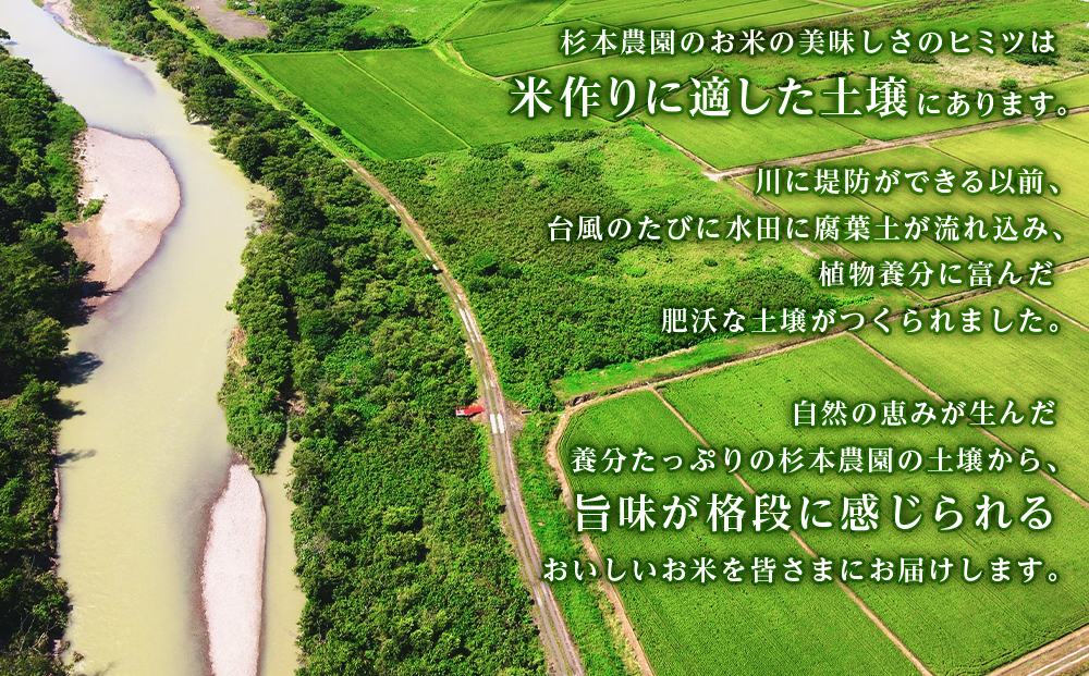 【新米発送・定期便 3カ月】ゆめぴりか 玄米 5kg 《杉本農園》