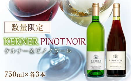 ケルナー2024年＆ピノノワール2024年 750ml× 各1本 セット ギフト【数量限定】赤ワイン 白ワイン 辛口 北海道産_Y061-0010