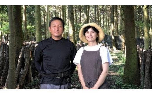 【数量限定】山やの乾しいたけときくらげのセット 希少 純国産 きくらげ_1747R