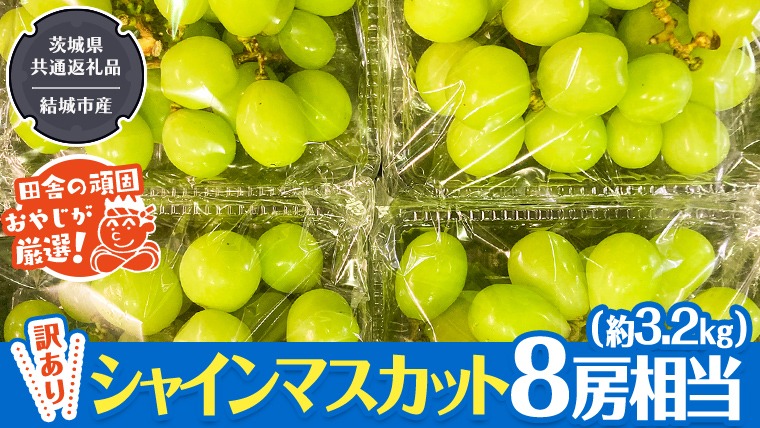 【2026年9月より発送開始】 【 訳あり 】 シャインマスカット 8房相当（約3.2kg） 田舎の頑固おやじが厳選！（茨城県共通返礼品 [ぶどう]：結城市産）果物 フルーツ 不揃い わけあり 先行予約 家庭用 フルーツ ブドウ 果物 ぶどう シャイン マスカット くだもの 先行予約[BI209-NT]
