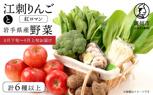 江刺りんごと岩手県産野菜セット【8月下旬～9月上旬お届け】 りんご 林檎 紅ロマン フルーツ 野菜 青果 旬 詰め合わせ セット 計6種以上 岩手県 奥州市 冷蔵配送 離島配送不可 [AQ013]