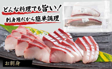 KU281-2512 ＜2025年12月発送分＞活じめ！黒瀬ぶりの生鮮ブリロイン2節（1kg前後）