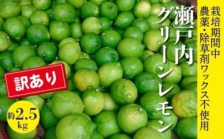 レモン【先行受付】【2025年10月以降発送】【栽培期間中 農薬・除草剤不使用】離島 佐木島！訳ありグリーンレモン 約2.5kg   広島 三原 佐木島 鷺島みかんじま 017062