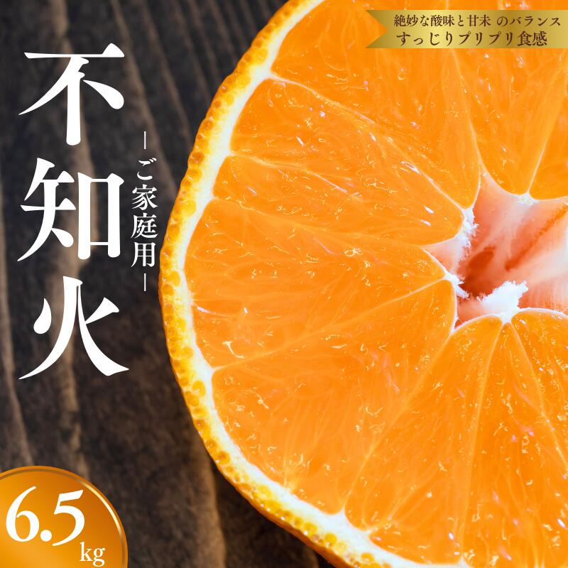 【ふるさと納税】 【濃厚】有田の不知火 約6.5kg ご家庭用向け（サイズ混合） ※2026年2月中旬～2026年3月中旬頃に順次発送予定（日付指定不可） / 不知火 しらぬい デコポン みかん 柑橘 フルーツ 果物 デザート 和歌山 古座川町
