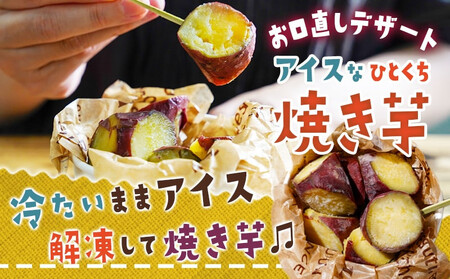 【敬老の日】レンジで温めるだけ!ゴロゴロ野菜スープギフトセット≪9月11日～15日お届け≫_MJ-F705-KG_(都城市) スープカレー ゆず塩鶏団子スープ ミネストローネ ユッケジャンスープ アイ