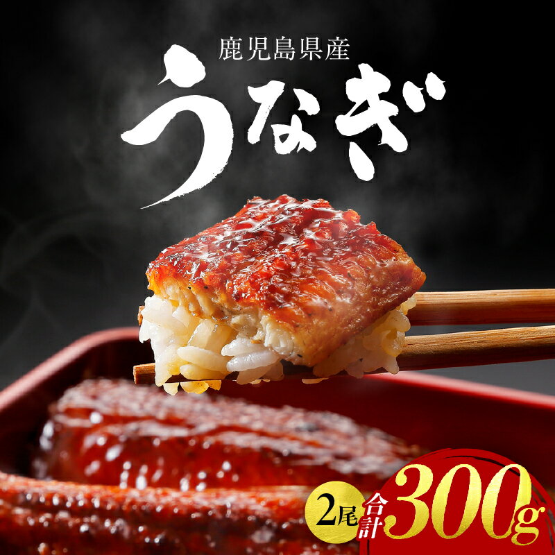 【ふるさと納税】鹿児島県産 うなぎ 2尾 300g 鰻 蒲焼 魚 鰻重 鰻丼 ひつまぶし 惣菜 総菜 冷凍 山之内伝氣 鹿児島 鹿屋市 おすすめ ランキング プレゼント ギフト