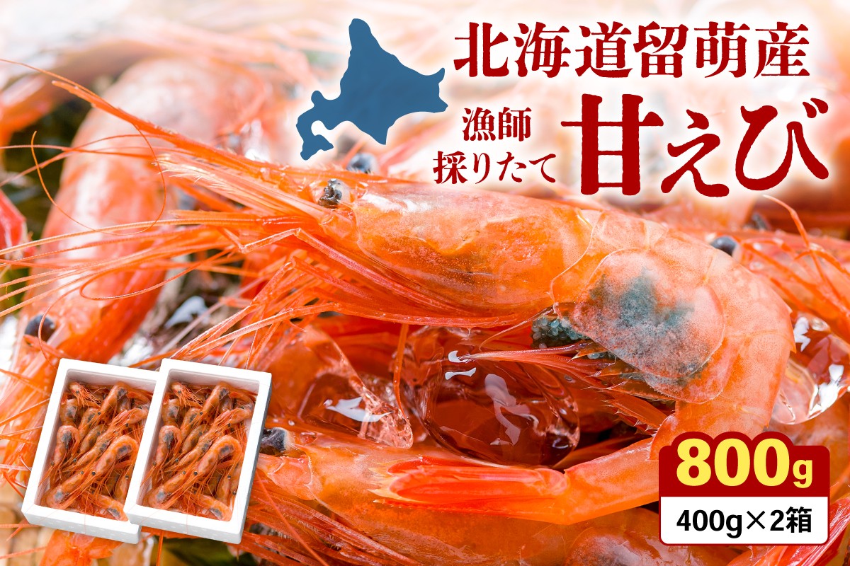 
            北海道留萌産　漁師採りたて甘えび400g×2箱
          