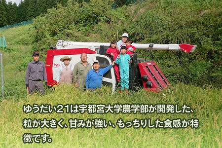 [令和7年度産] 日光棚田米「ゆうだい21」5kg｜令和7年度米 数量限定 お米 白米 精米 国産 日光産 産地直送 日光市 八木澤ファーム [0759]
