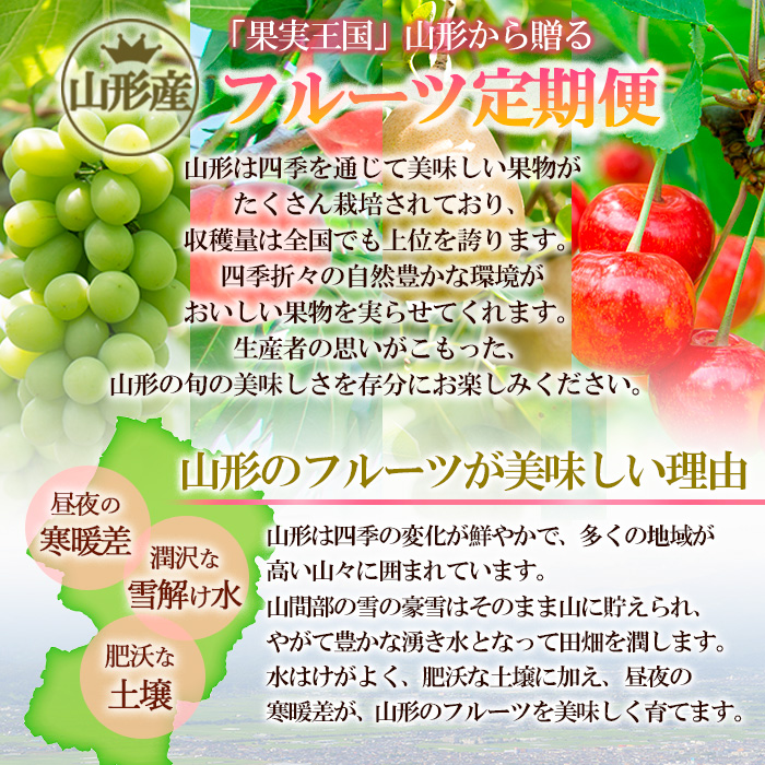 【定期便5回】ノノハナフルーツ やまがた赤の定期便 FY24-015