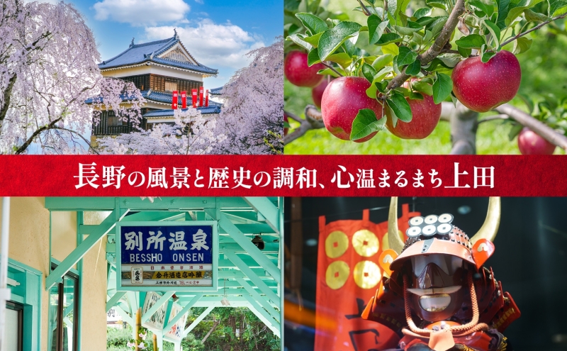 長野県  切れてない 白菜 キムチ 一本漬け 中辛 1kg 白菜キムチ 国産 発酵 漬物 ご飯のお供 おかず おつまみ キムチ鍋 豚キムチ ギフト 韓国 キムフーズ 信州 送料無料 上田