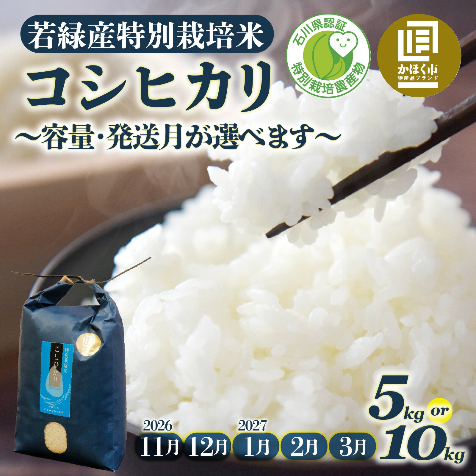 【ふるさと納税】 【11月～3月配送】【令和8年産 新米】若みどりの こしひかり 5kg ～ 10kg / コシヒカリ お米 米 こめ コメ 白米 ご飯 5キロ 10キロ 若緑産 特別栽培米 単一原料米 国産 食品 常温 お取り寄せ 送料無料