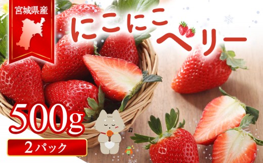 宮城県産いちご「にこにこベリー」約500ｇ（250ｇ×2）【58001】