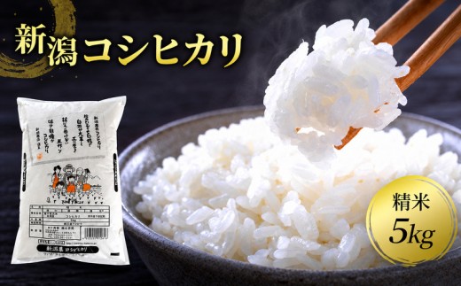 新潟県産コシヒカリ 精米5kg お米 こしひかり 白米 精米 米 コメ 新潟県産