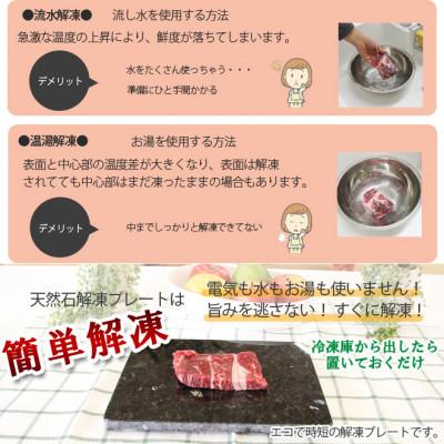 ふるさと納税 大野町 天然石解凍プレート 24×19×約1センチ 置くだけで急速解凍 時短のキッチンエコツール |  | 02
