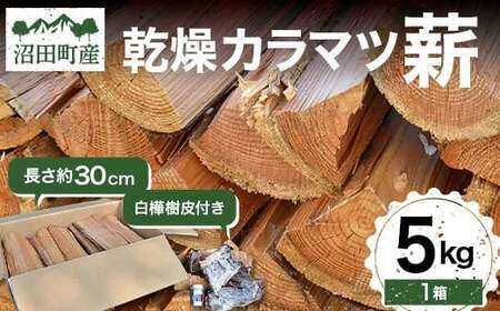 沼田町産 乾燥カラマツ薪 長さ約30cm 5kg 白樺樹皮付き キャンプ アウトドア用品 n-0089