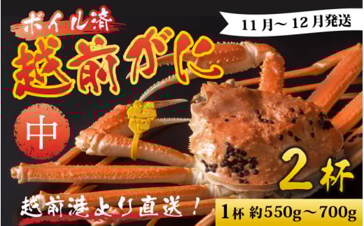 【先行予約】越前港より直送！ 越前がに 中 (約550g～700g) 2杯※発送前に在宅確認の電話連絡をいたします!【11月～12月発送予定】 ズワイガニ ずわいがに ズワイ蟹 越前ガニ ボイル 刺身 蟹 鍋 しゃぶしゃぶ 冷蔵  カニ 鍋 海鮮 かに福井県 南越前町 送料無料