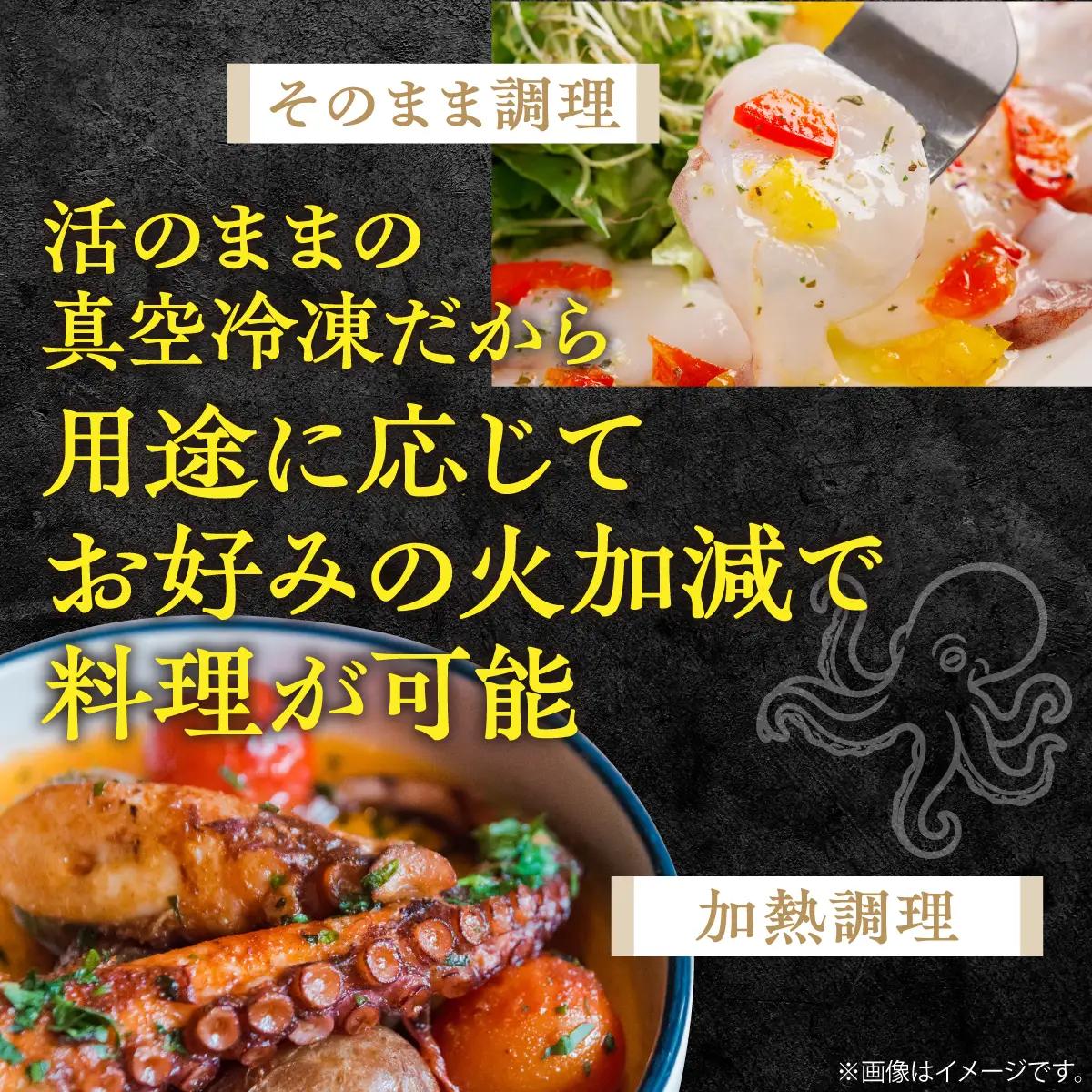 北海道 鵡川漁協発！活水生たこ足冷凍（約1kg） MKWV004