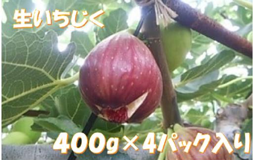 A-15 あまい生いちじく（400ｇ×４パック）