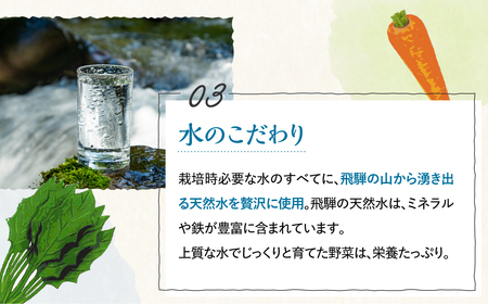 《先行受付 令和8年産》野菜3回定期便 無農薬栽培  6～7品 