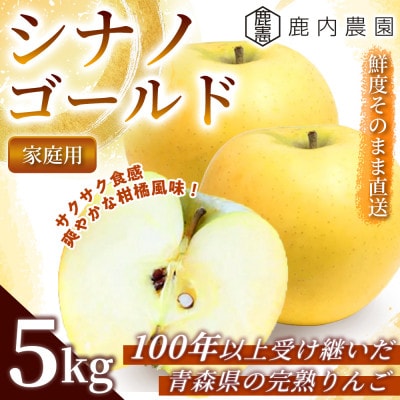 【爽やかな甘み】りんご 「シナノゴールド」家庭用 約5kg (約14～20個) 青森市 産地直送【配送不可地域：離島】【1785158】