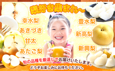 ＜ひるおびで紹介されました＞2026年先行予約 梨 荒尾梨 約4.5～5kg（6～22玉） なし フルーツ 果物 旬 《2026年8月下旬‐11月中旬頃出荷》熊本県 荒尾市 旬の梨 幸水 秋麗 豊水 
