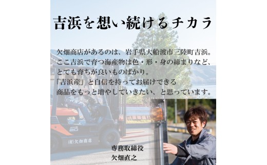 【今だけ】 生うに 牛乳瓶 300g 150g × 2本 [2026年5月下旬～発送予定] ミョウバン不使用 冷蔵 岩手県 ［ 季節限定 生うに 生雲丹  天然 海鮮丼 寿司 ウニ丼 刺身 ］
